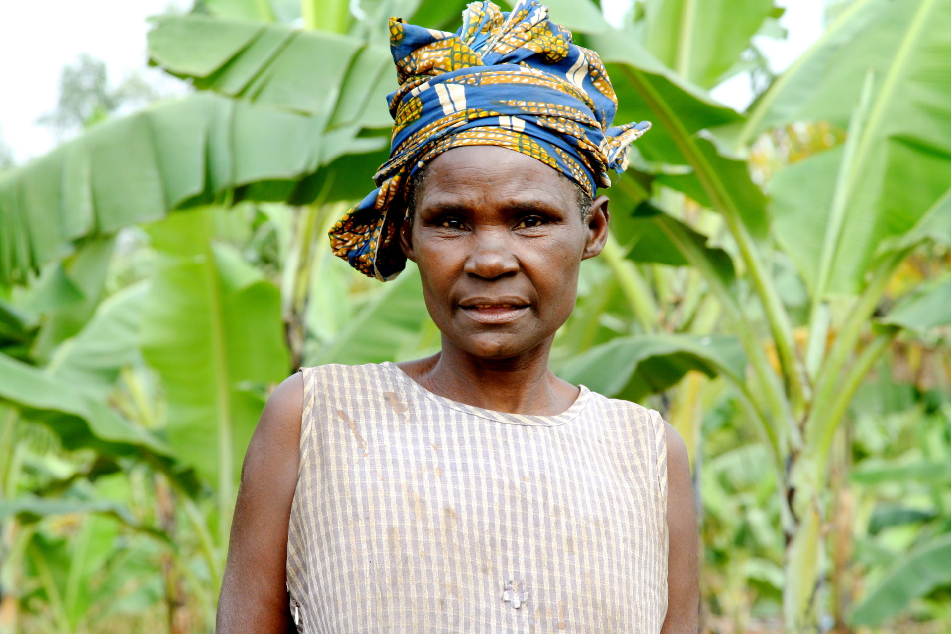 Environmental Funders Network Covers The State of Funding for Women’s ...