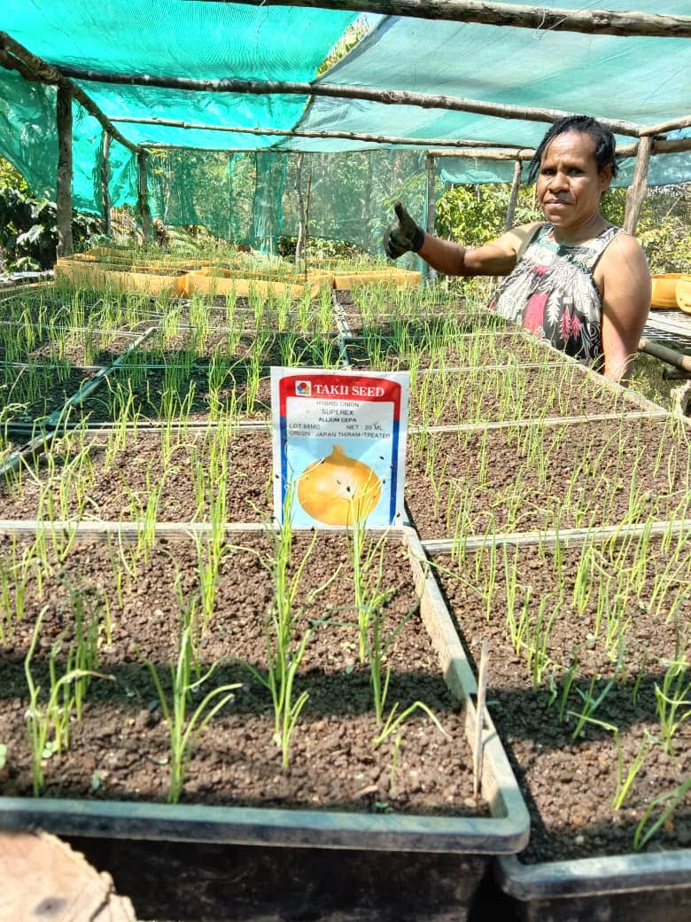 A woman stands next to several raised plant beds inside a greenhouse. She is looking at the camera with a serious expression and giving a thumbs up. In the plant beds, many plants are sprouting.