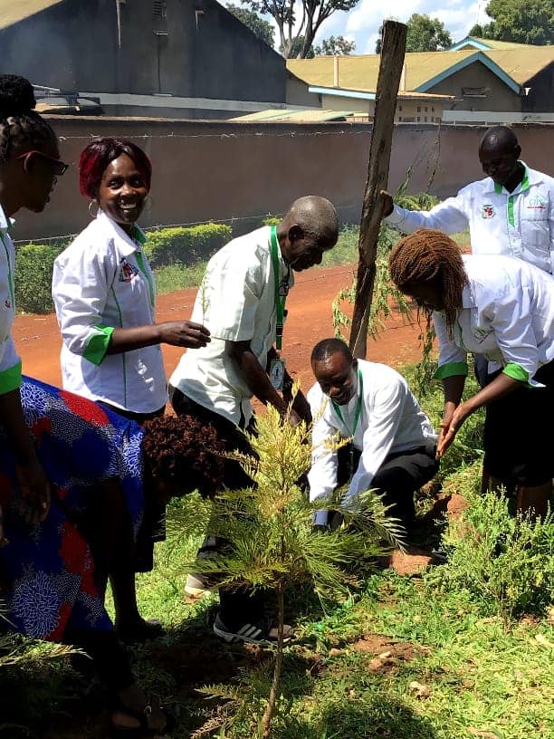 A group of Black people with varied gender expressions surround a small tree, in the middle of planting it. Many of them are smiling.